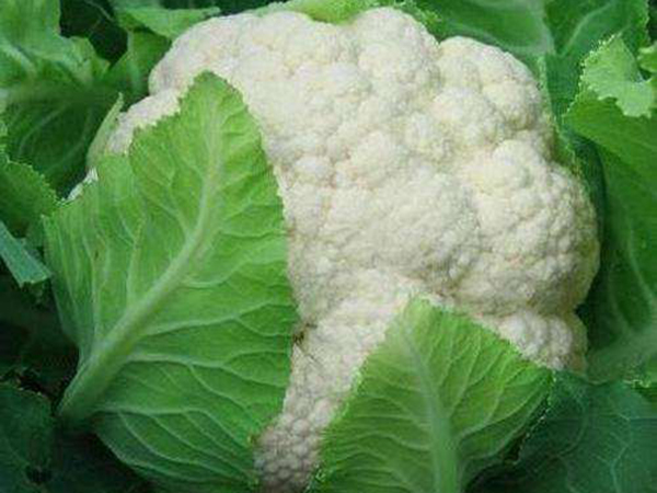 Cauliflower